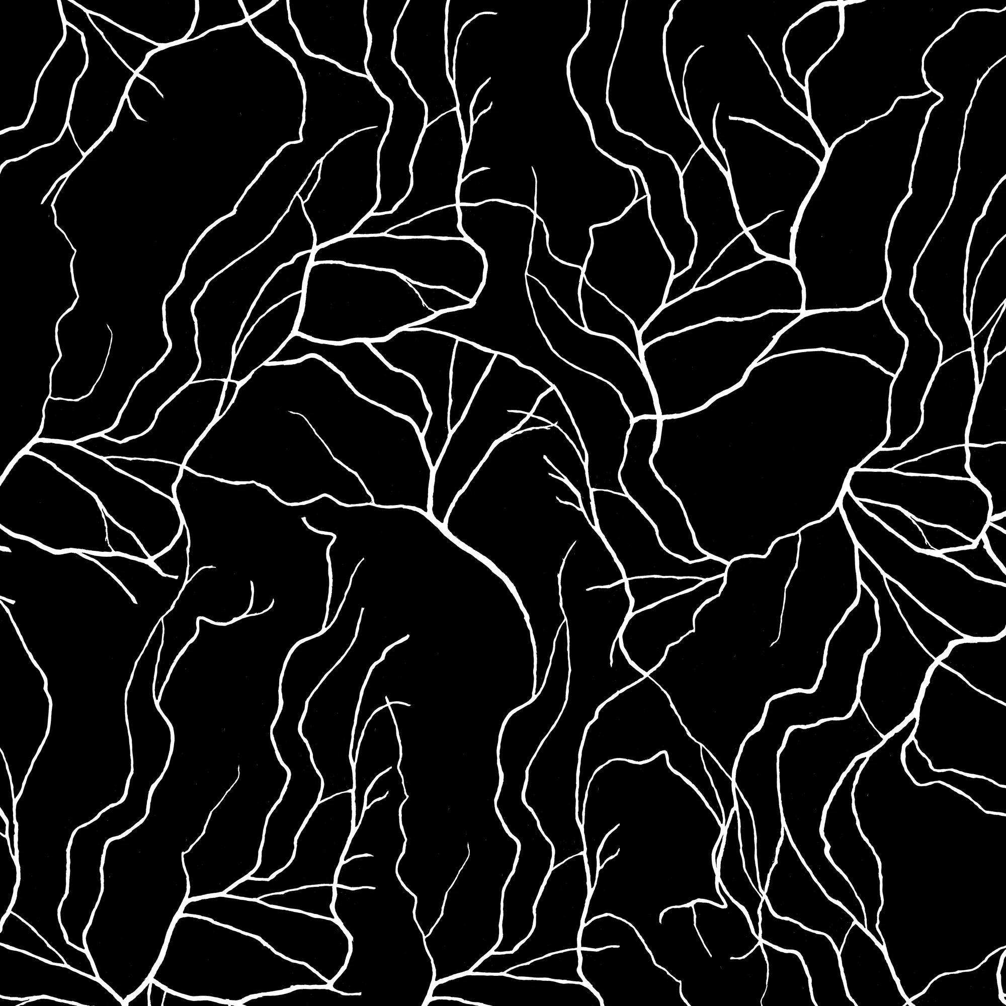 veiny 020 — Descargar