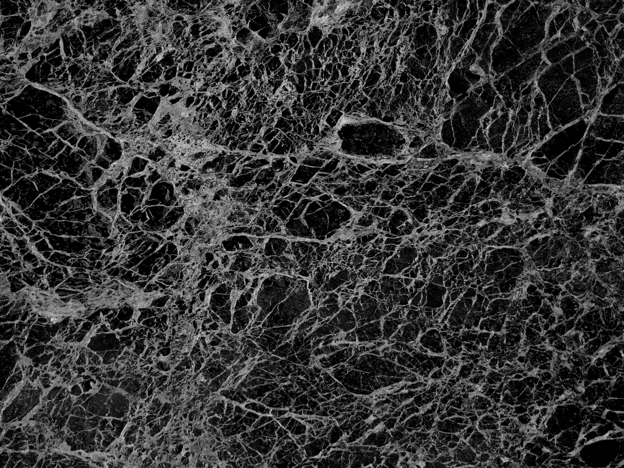 veiny 022 — Скачать