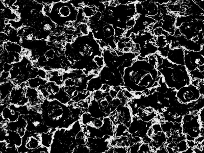 veiny 024 — Descargar