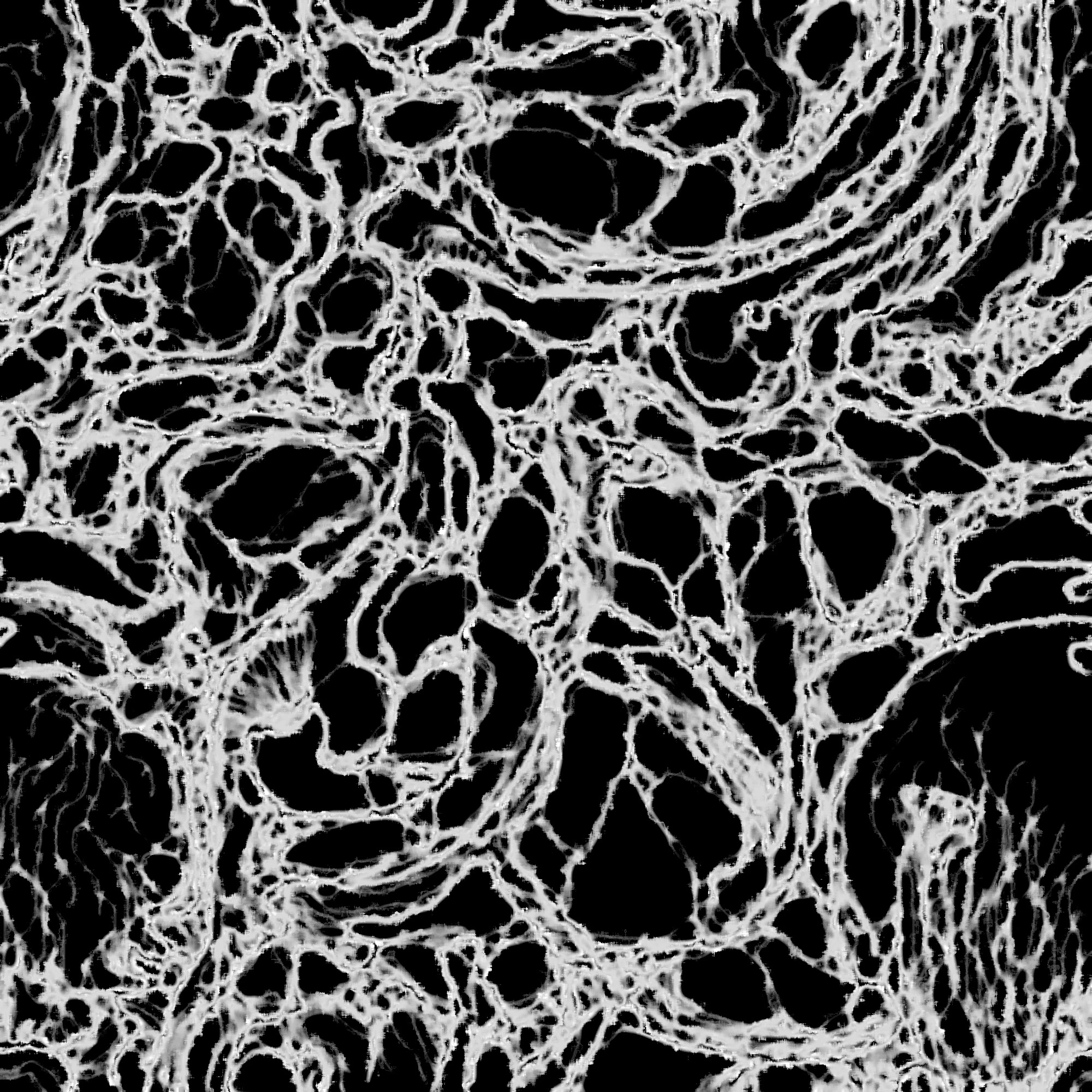 veiny 028 — Descargar