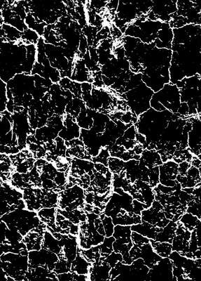 veiny 033 — Descargar