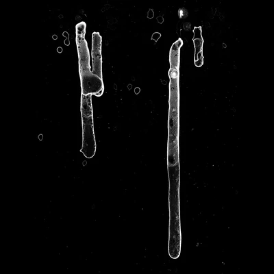 waterdamage drips small 030 — Descargar