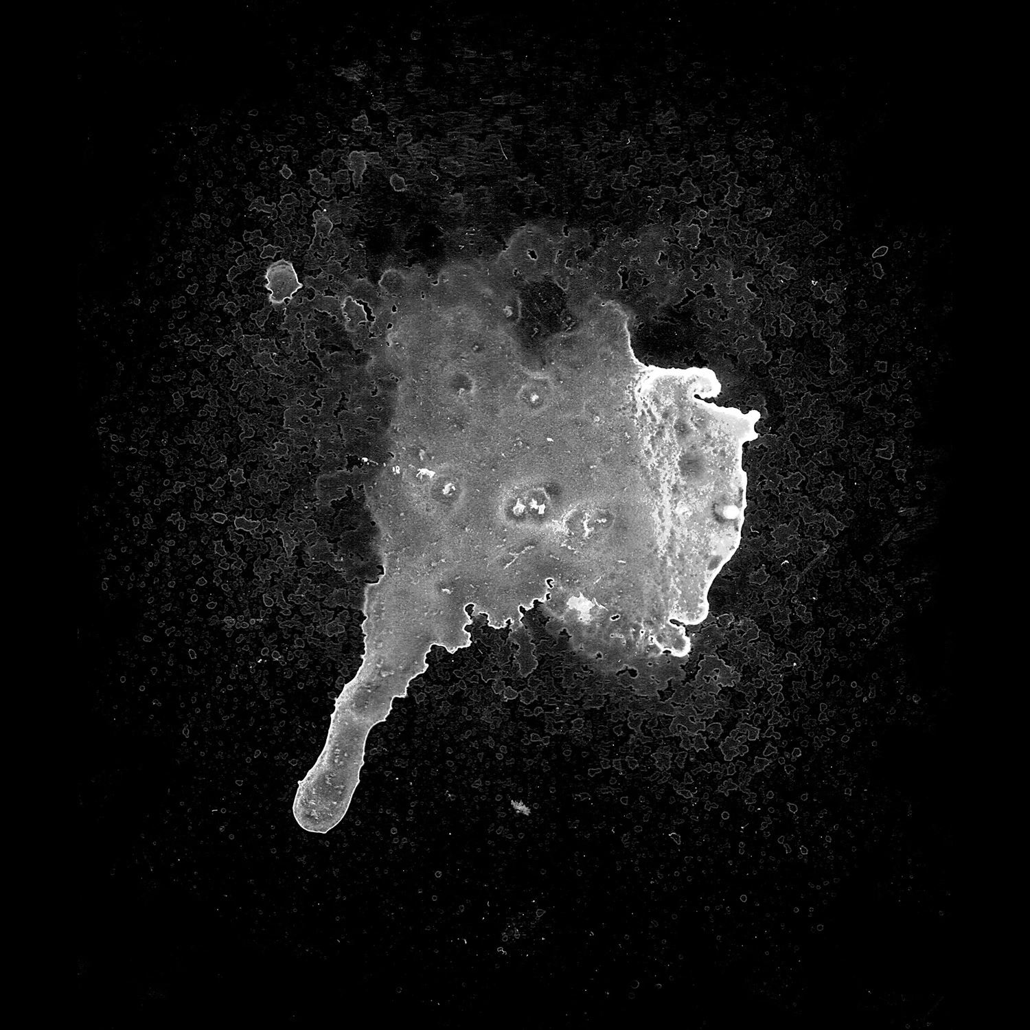 waterdamage drips small 031 — Descargar