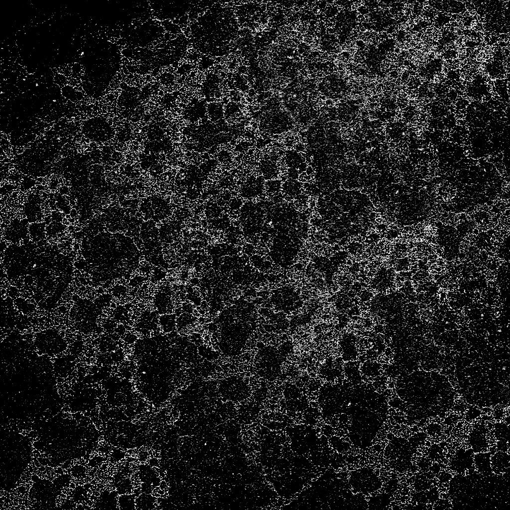 waterdamage rings dried stains 001 — Скачать