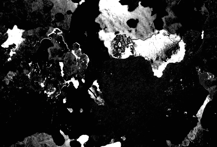 waterdamage rings dried stains 003 — Descargar