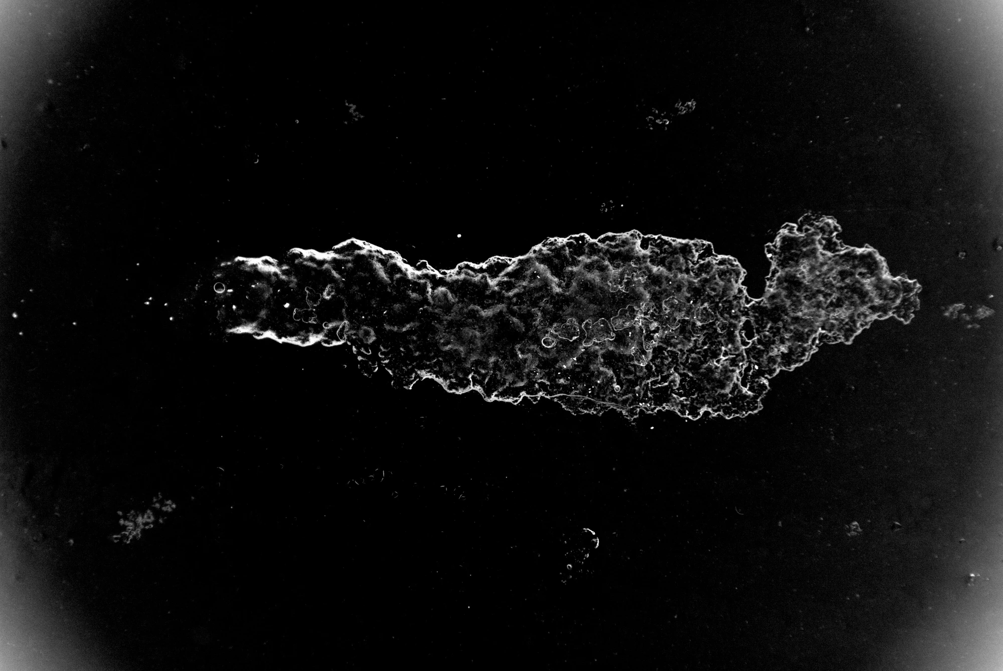 waterdamage rings dried stains 005 — Скачать