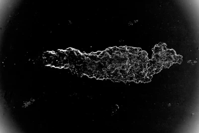waterdamage rings dried stains 005 — Скачать