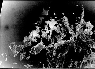 waterdamage rings dried stains 007 — Скачать