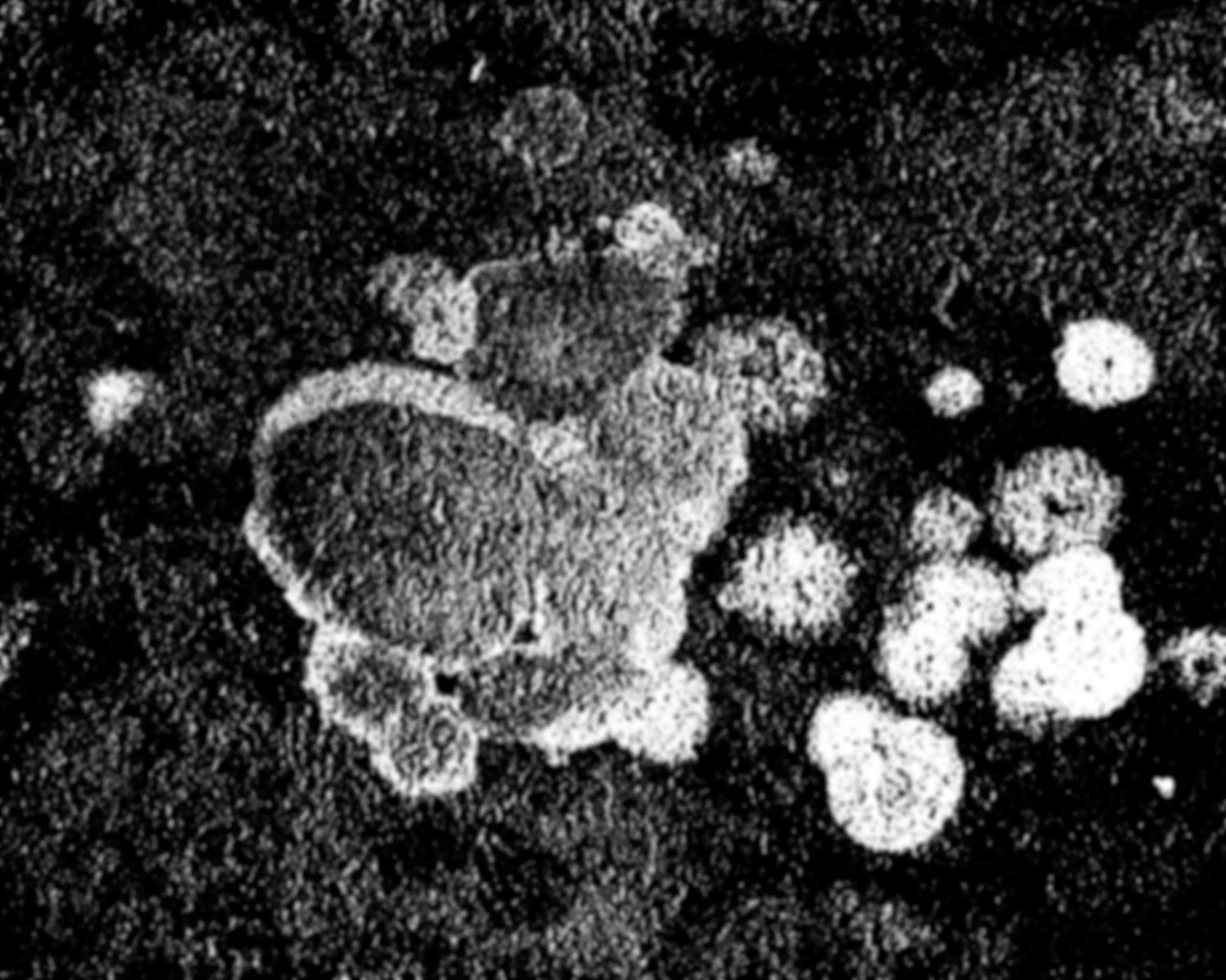 waterdamage rings dried stains 008 — Скачать