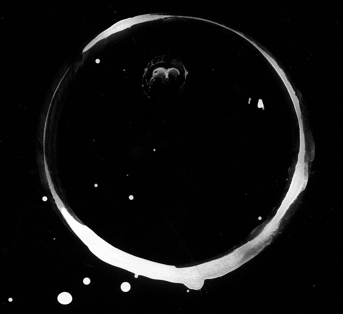 waterdamage rings dried stains 010 — Descargar