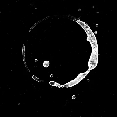 waterdamage rings dried stains 012 — Скачать