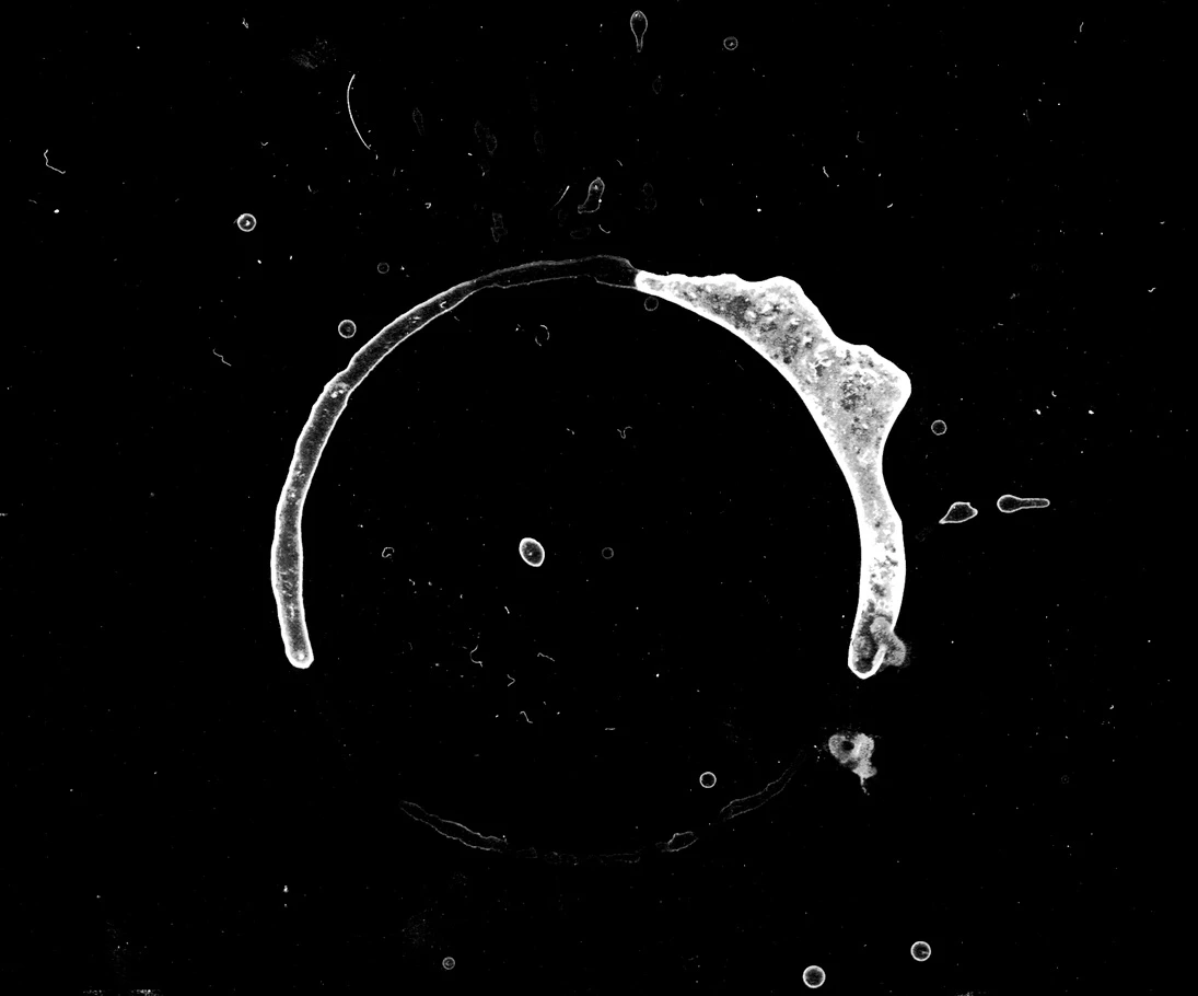 waterdamage rings dried stains 013 — Descargar