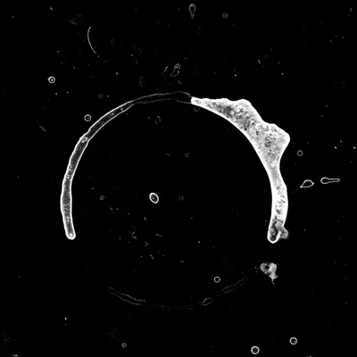 waterdamage rings dried stains 013 — Descargar