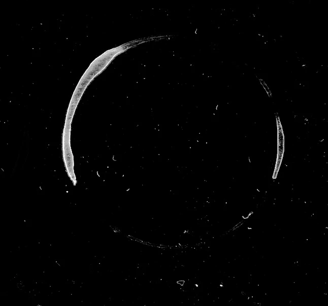 waterdamage rings dried stains 016 — Descargar