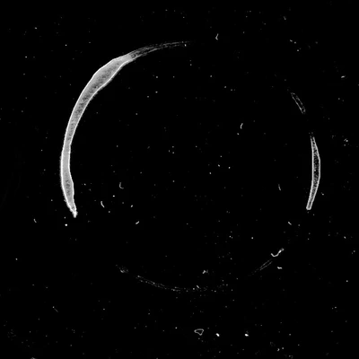 waterdamage rings dried stains 016 — Descargar