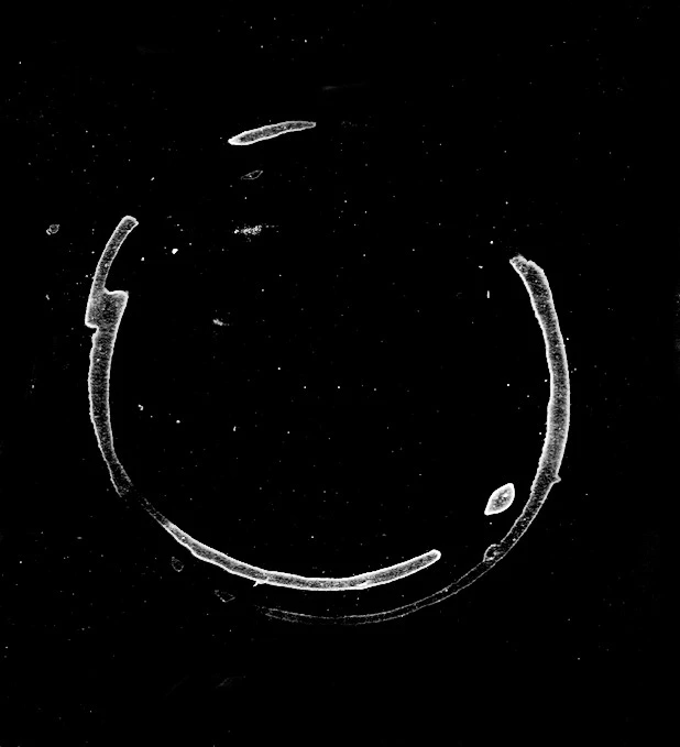 waterdamage rings dried stains 017 — Descargar