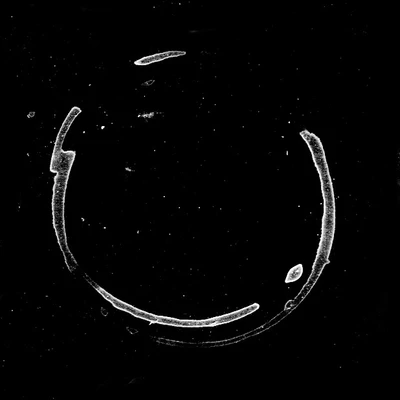 waterdamage rings dried stains 017 — Descargar