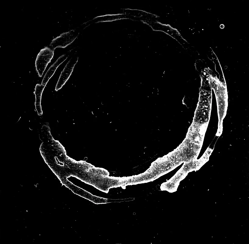 waterdamage rings dried stains 018 — Скачать