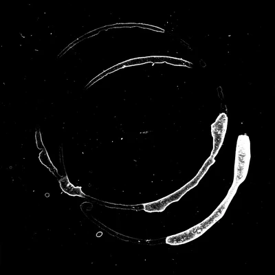waterdamage rings dried stains 019 — Descargar