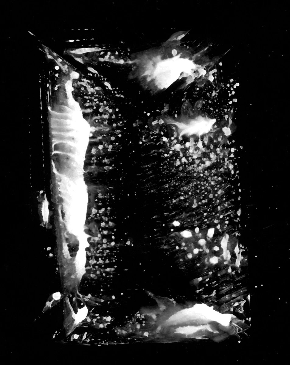 waterdamage rings dried stains 023 — Скачать