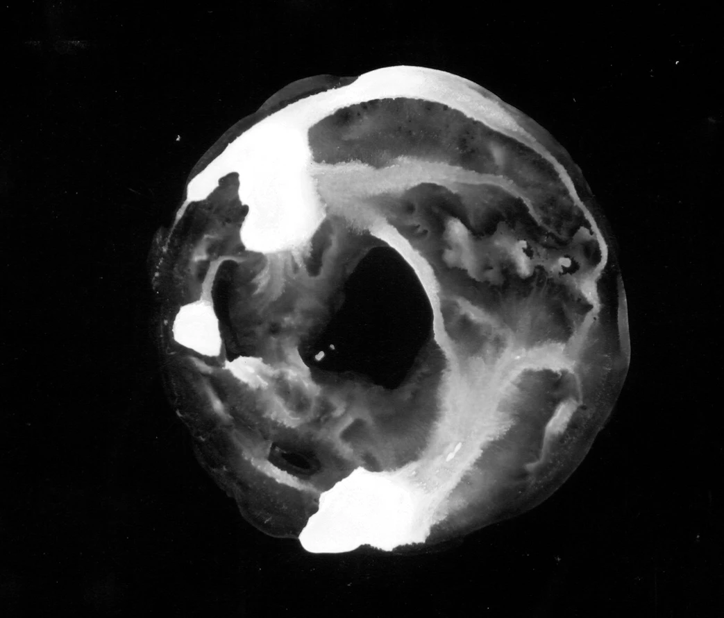 waterdamage rings dried stains 026 — Descargar