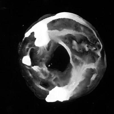 waterdamage rings dried stains 026 — Descargar