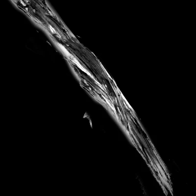 waterdamage smears 015 — Скачать