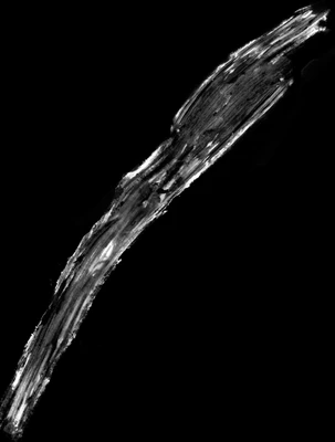waterdamage smears 029 — Descargar