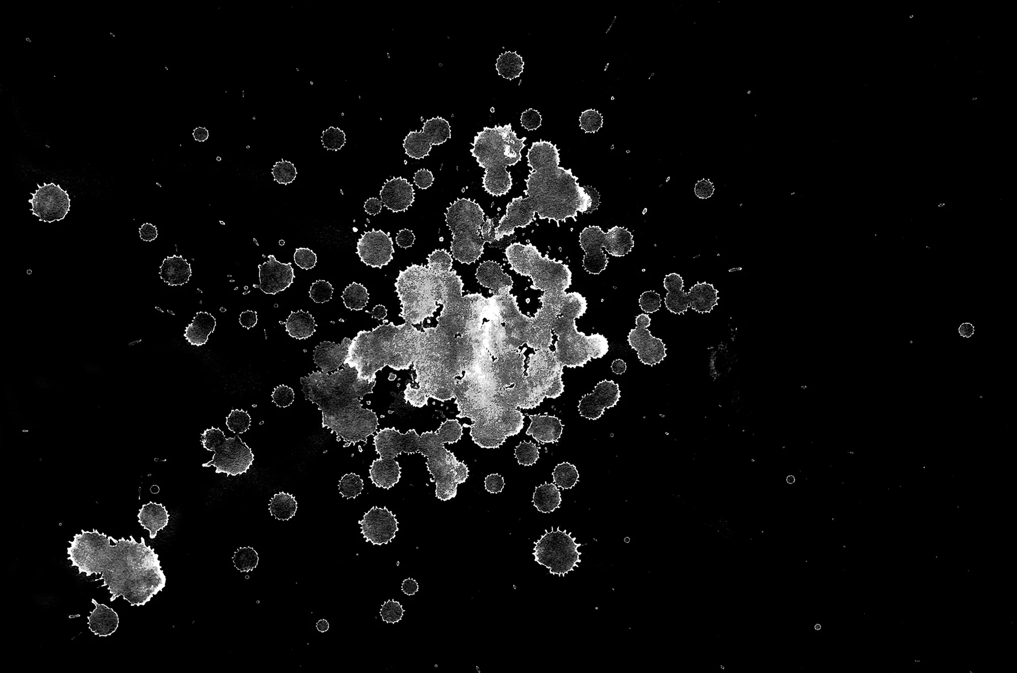 waterdanage drops impact splashes 033 — Скачать