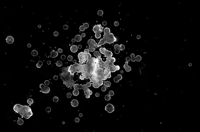 waterdanage drops impact splashes 033 — download