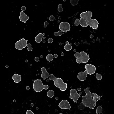 waterdanage drops impact splashes 034 — download