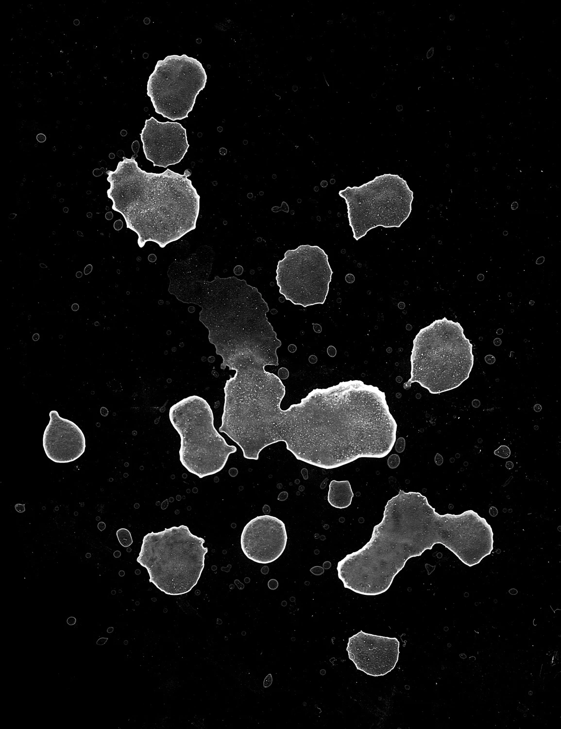 waterdanage drops impact splashes 035 — Скачать