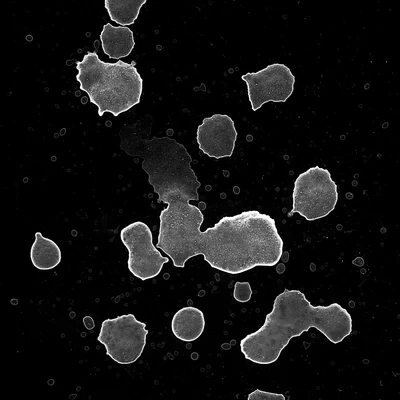 waterdanage drops impact splashes 035 — download