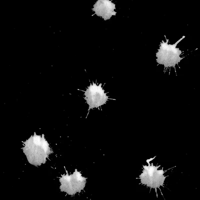 waterdanage drops impact splashes 036 — download