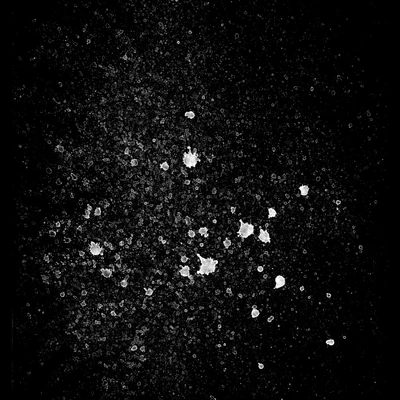 waterdanage drops impact splashes 041 — download