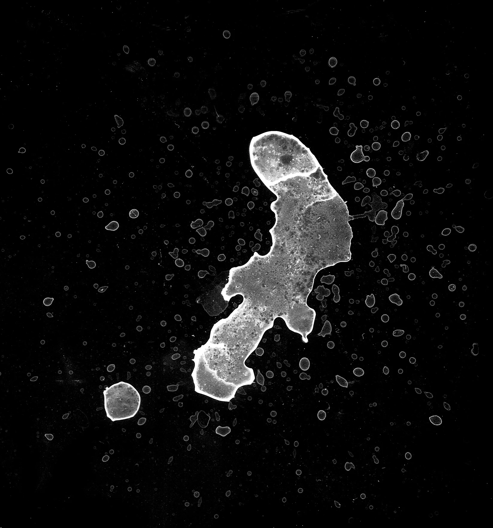 waterdanage drops impact splashes 046 — Скачать