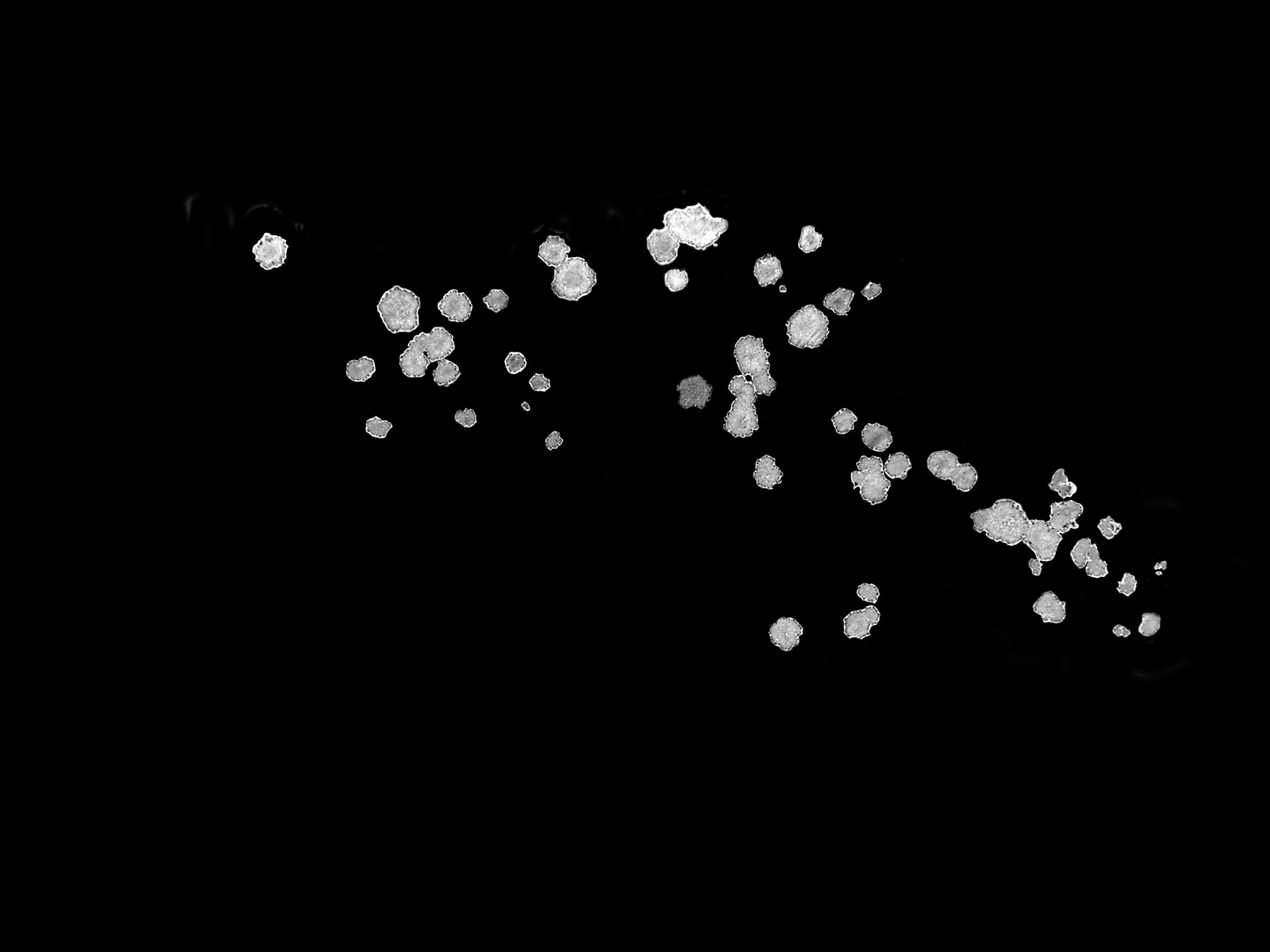 waterdanage drops impact splashes 051 — Скачать