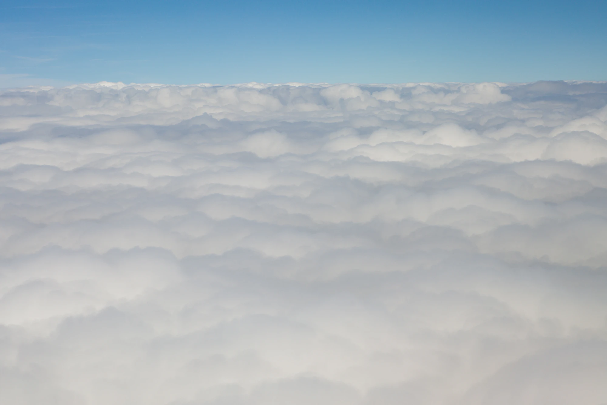 1194 — Скачать