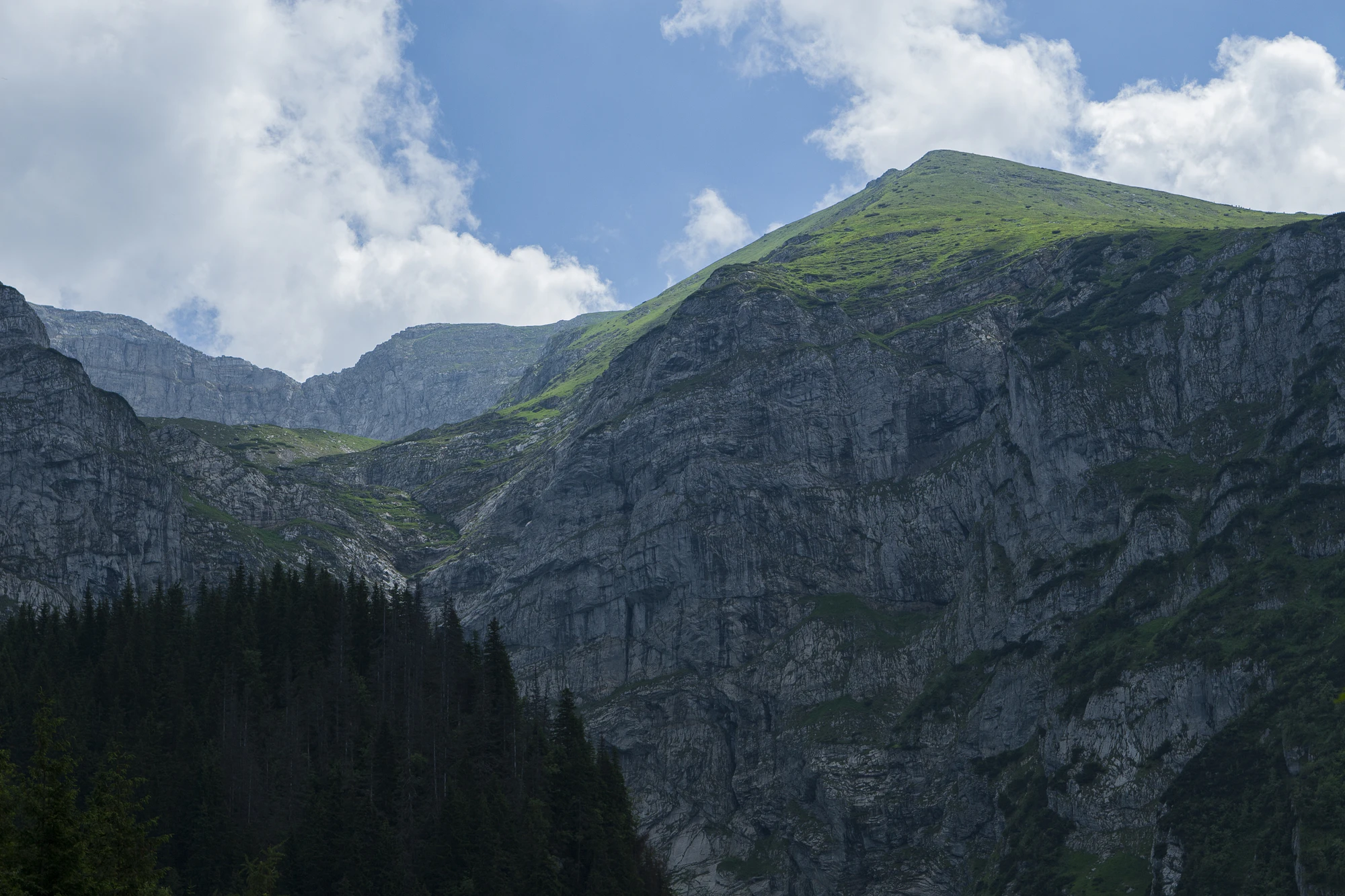 015 — Descargar
