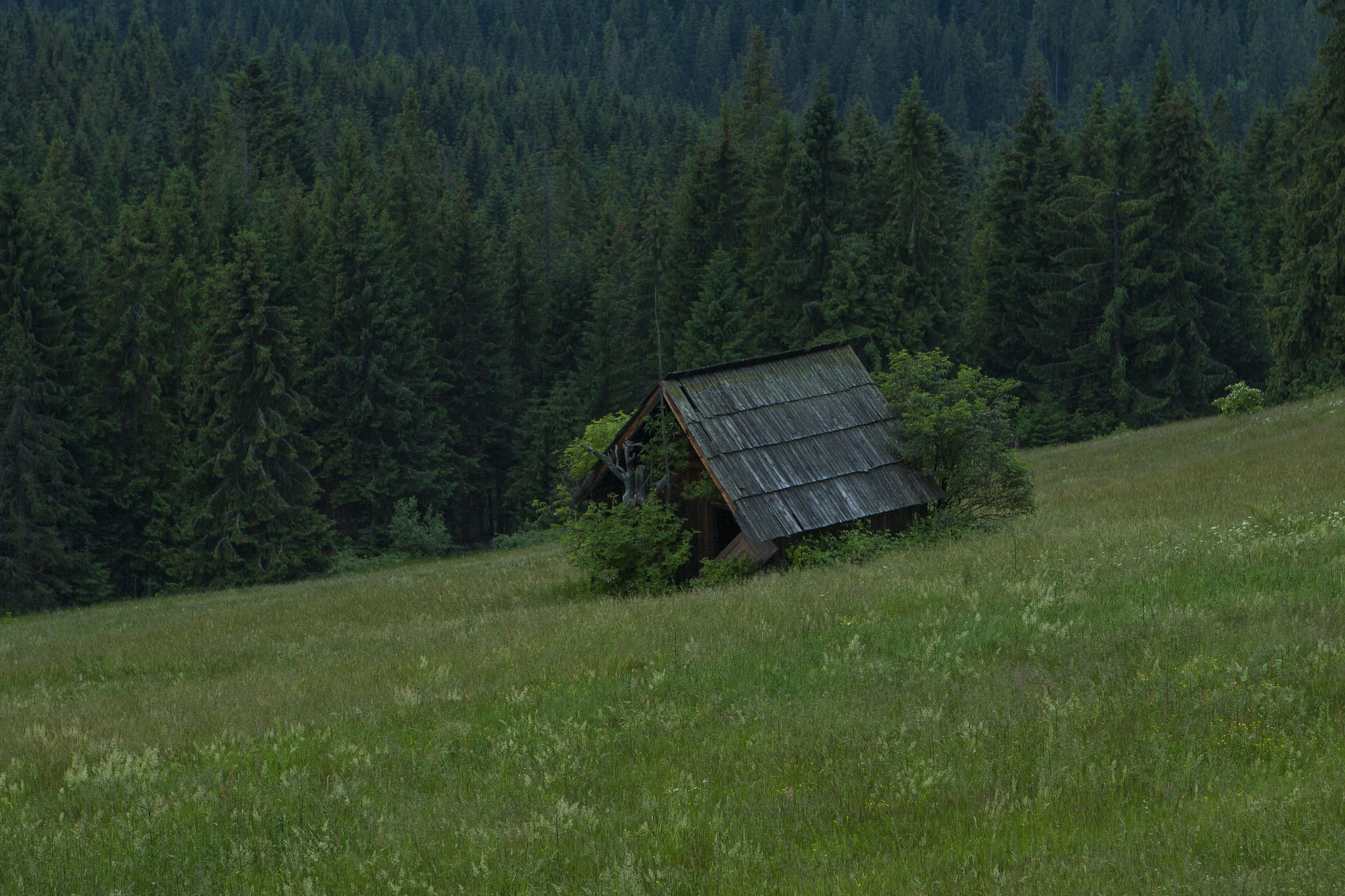 024 — Скачать