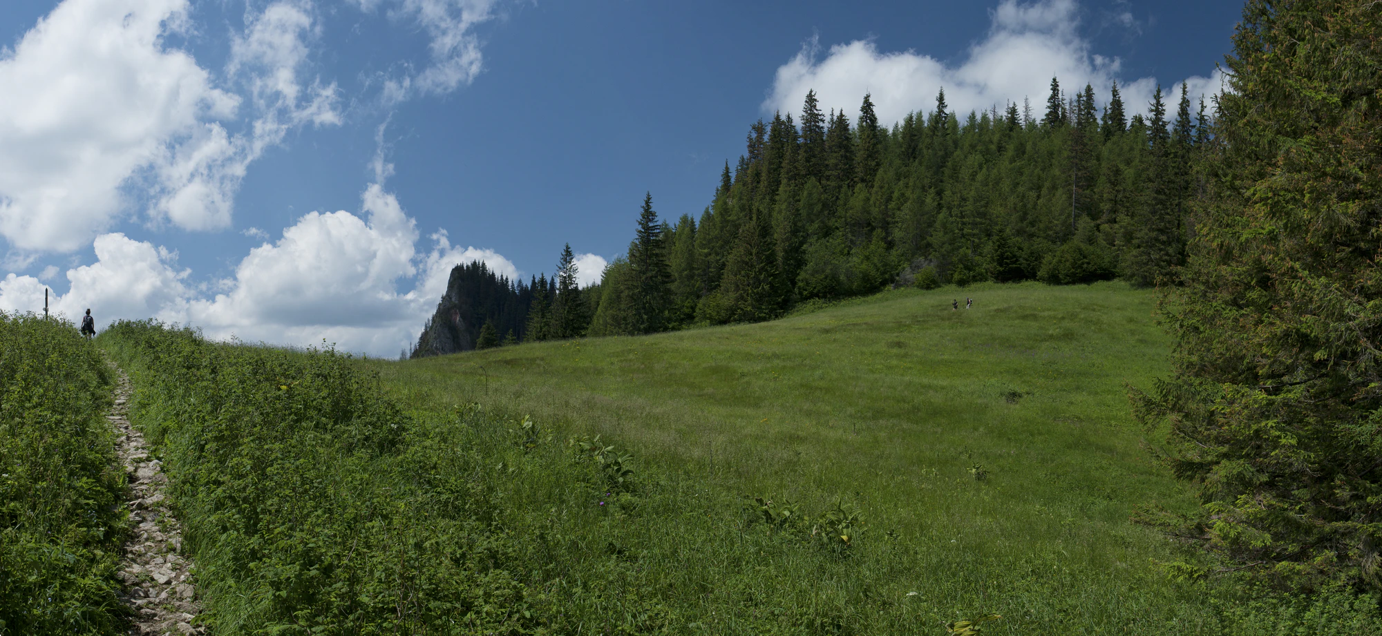 067 — Скачать