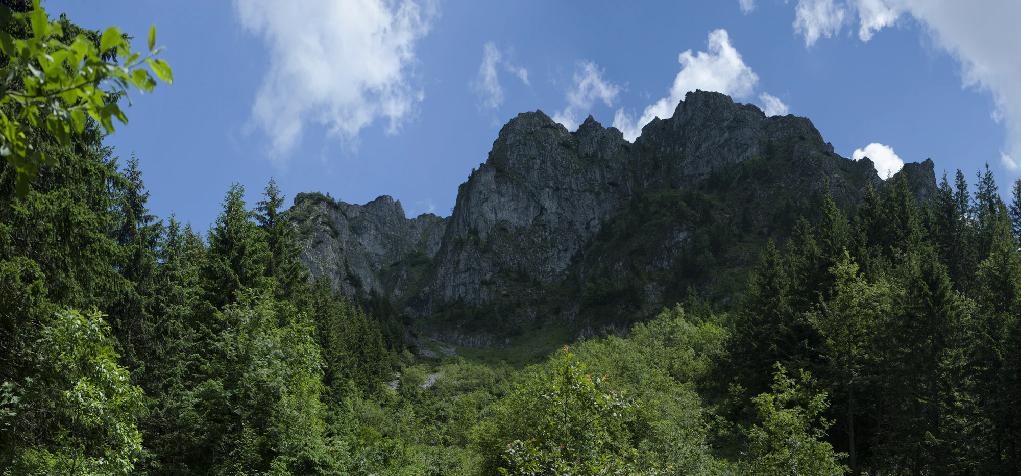 080 — Скачать