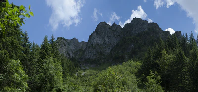 080 — Скачать