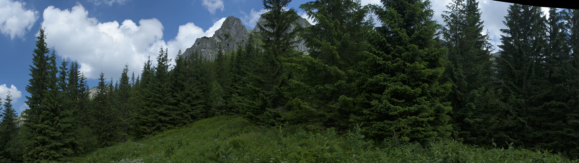 086 — Скачать