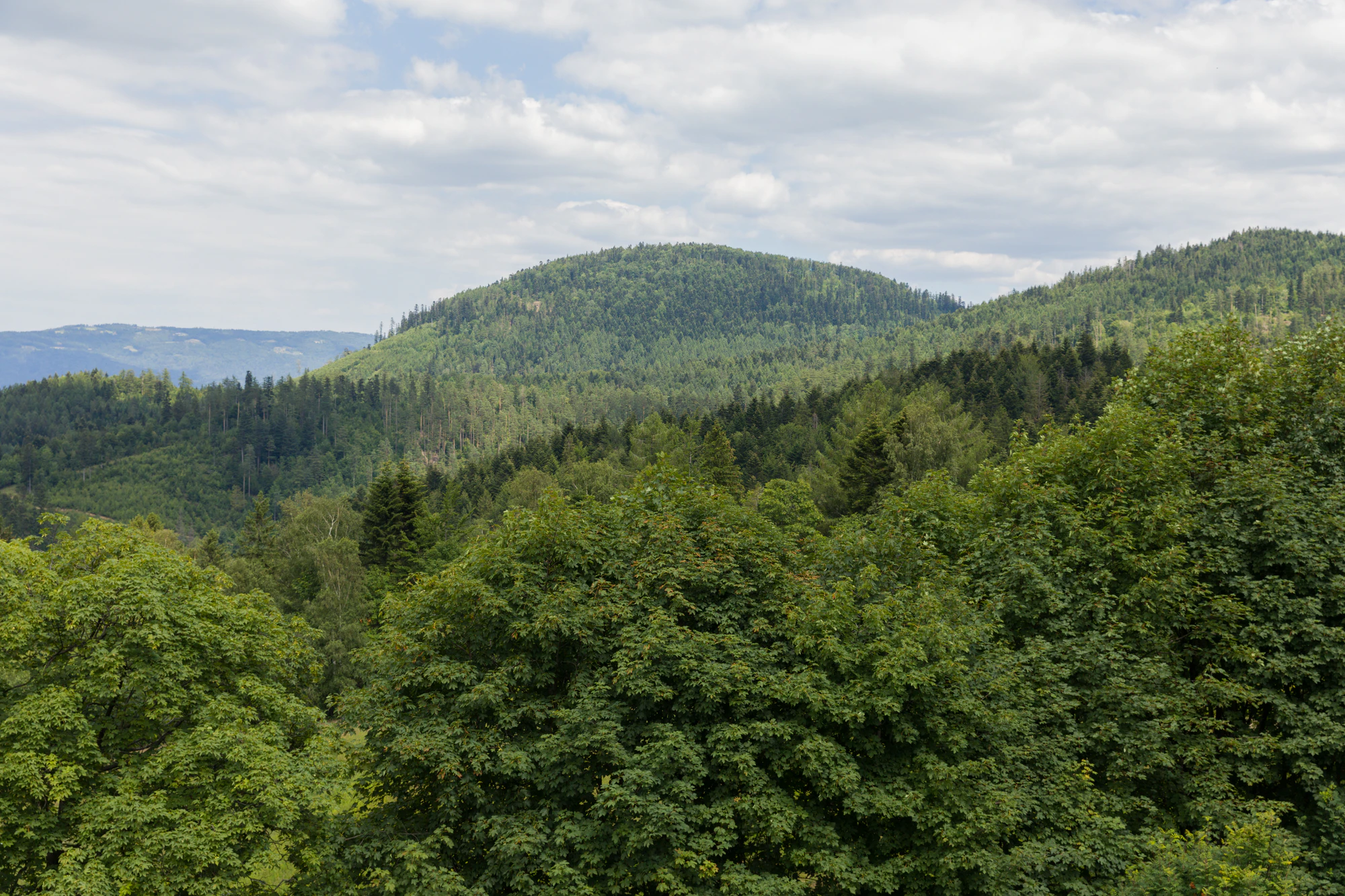 019 — Скачать