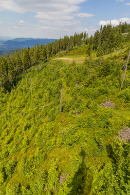 1089 — Скачать