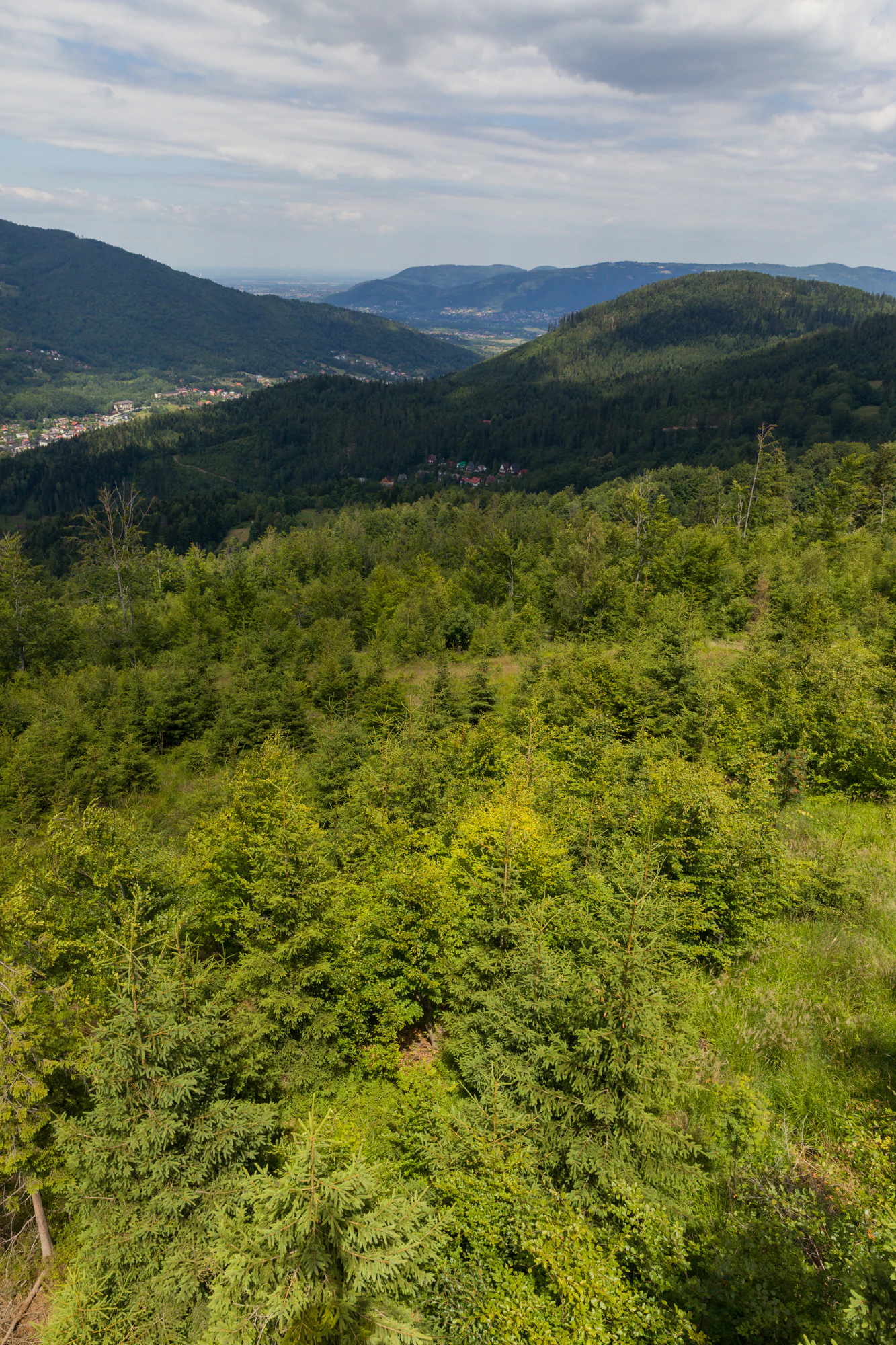 168 — Скачать