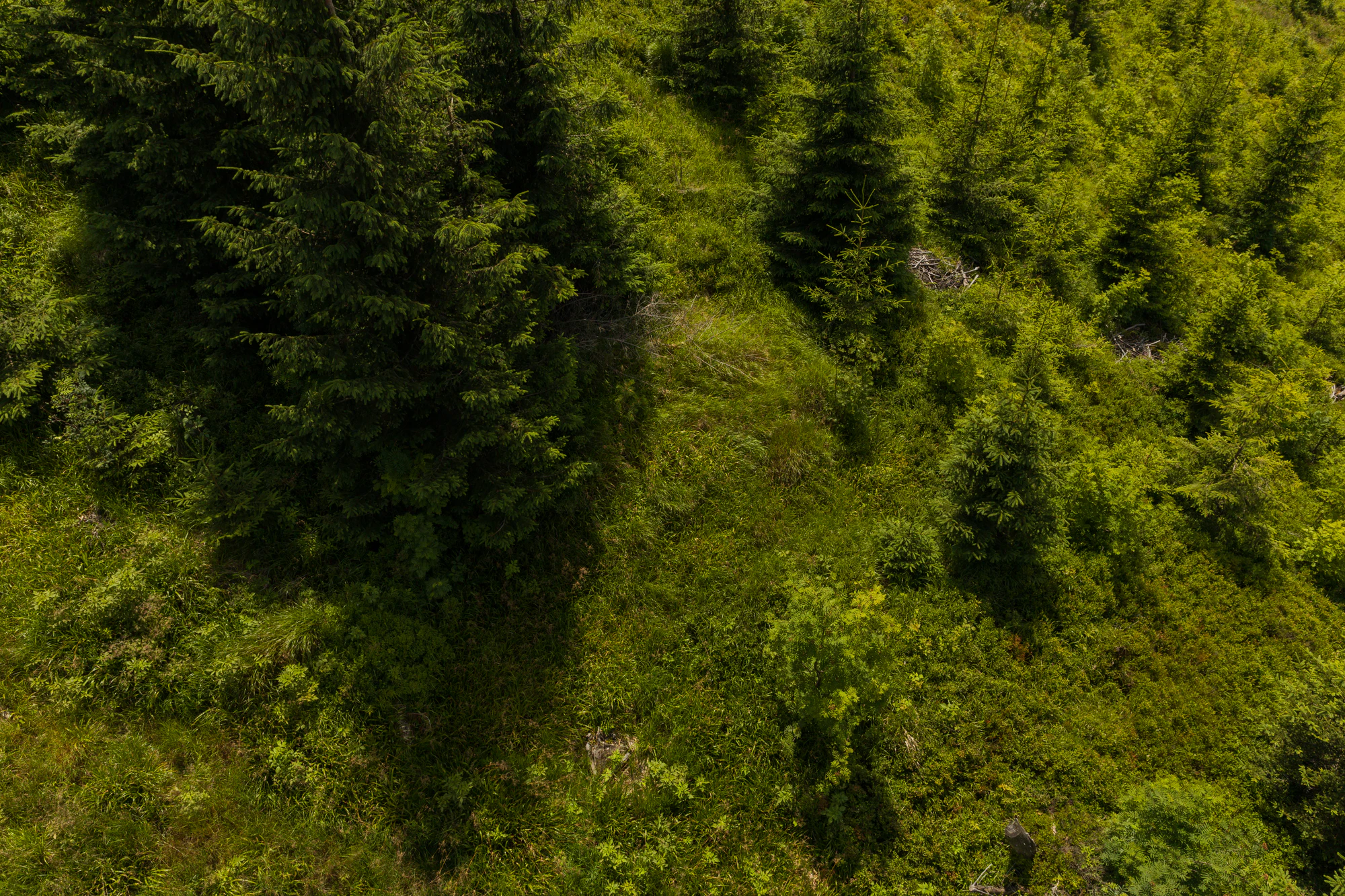 561 — Скачать