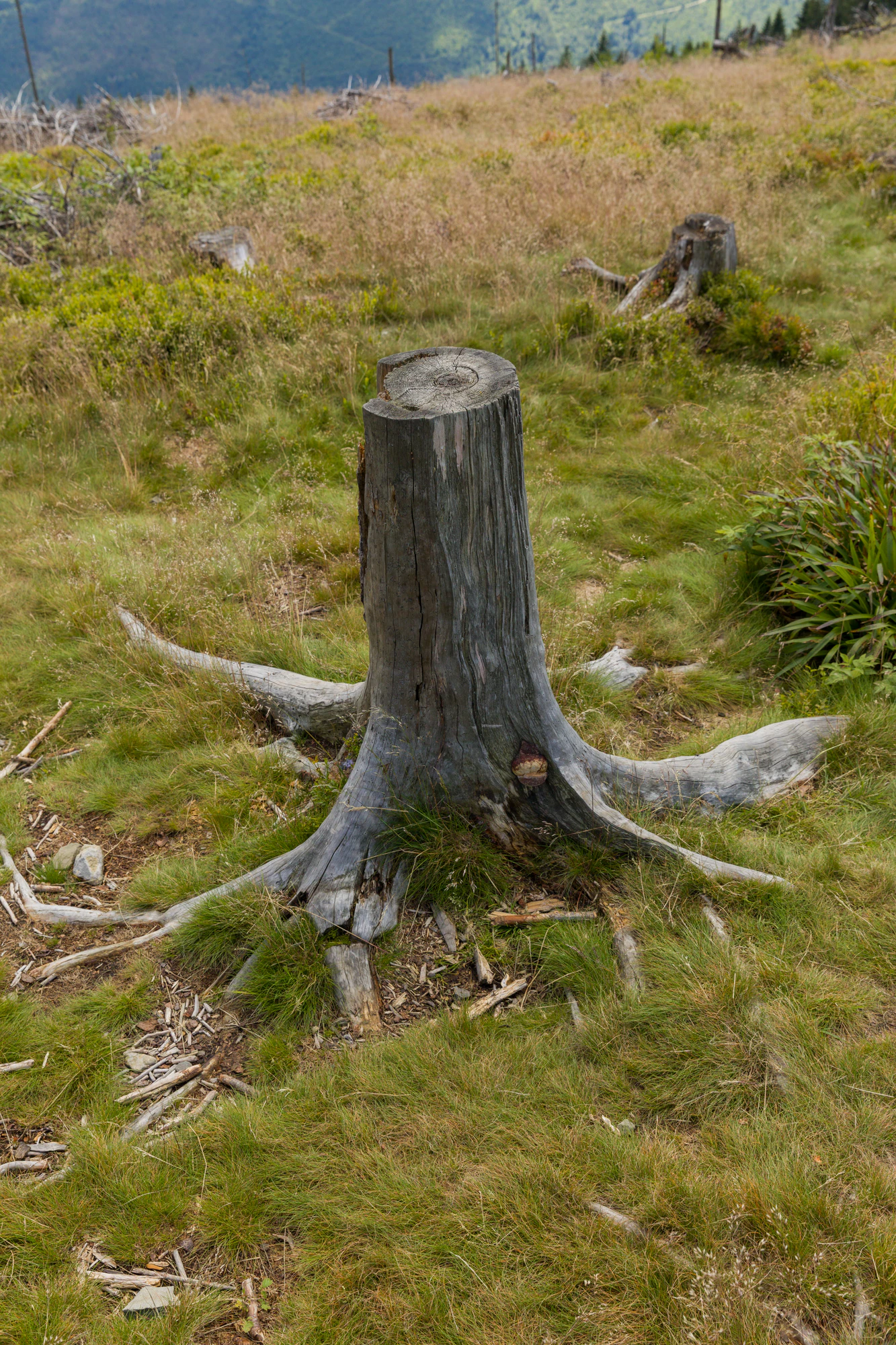 776 — Скачать