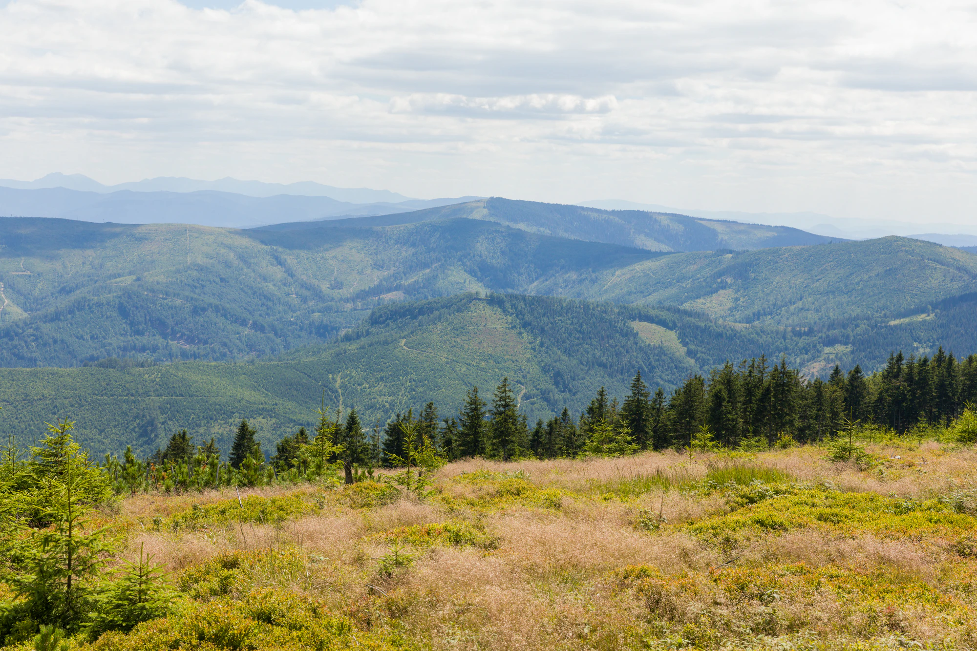 813 — Скачать